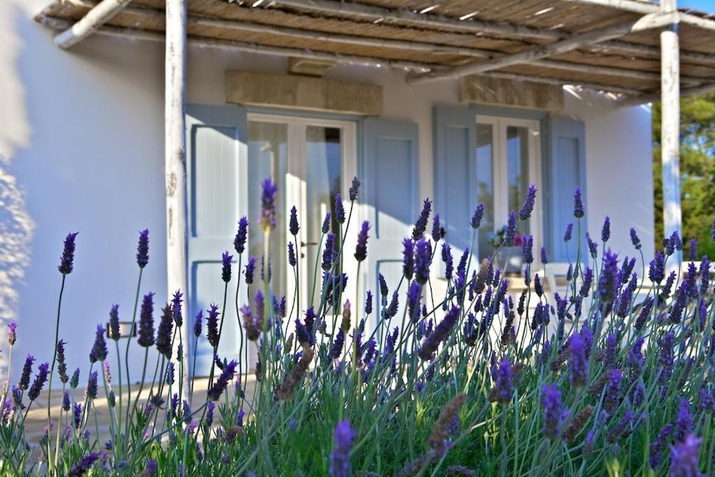 Masseria Montelauro Οτράντο Εξωτερικό φωτογραφία