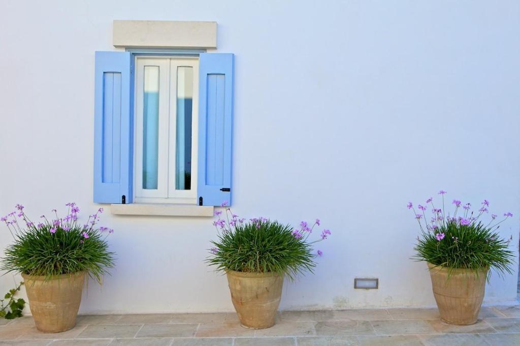 Masseria Montelauro Οτράντο Εξωτερικό φωτογραφία
