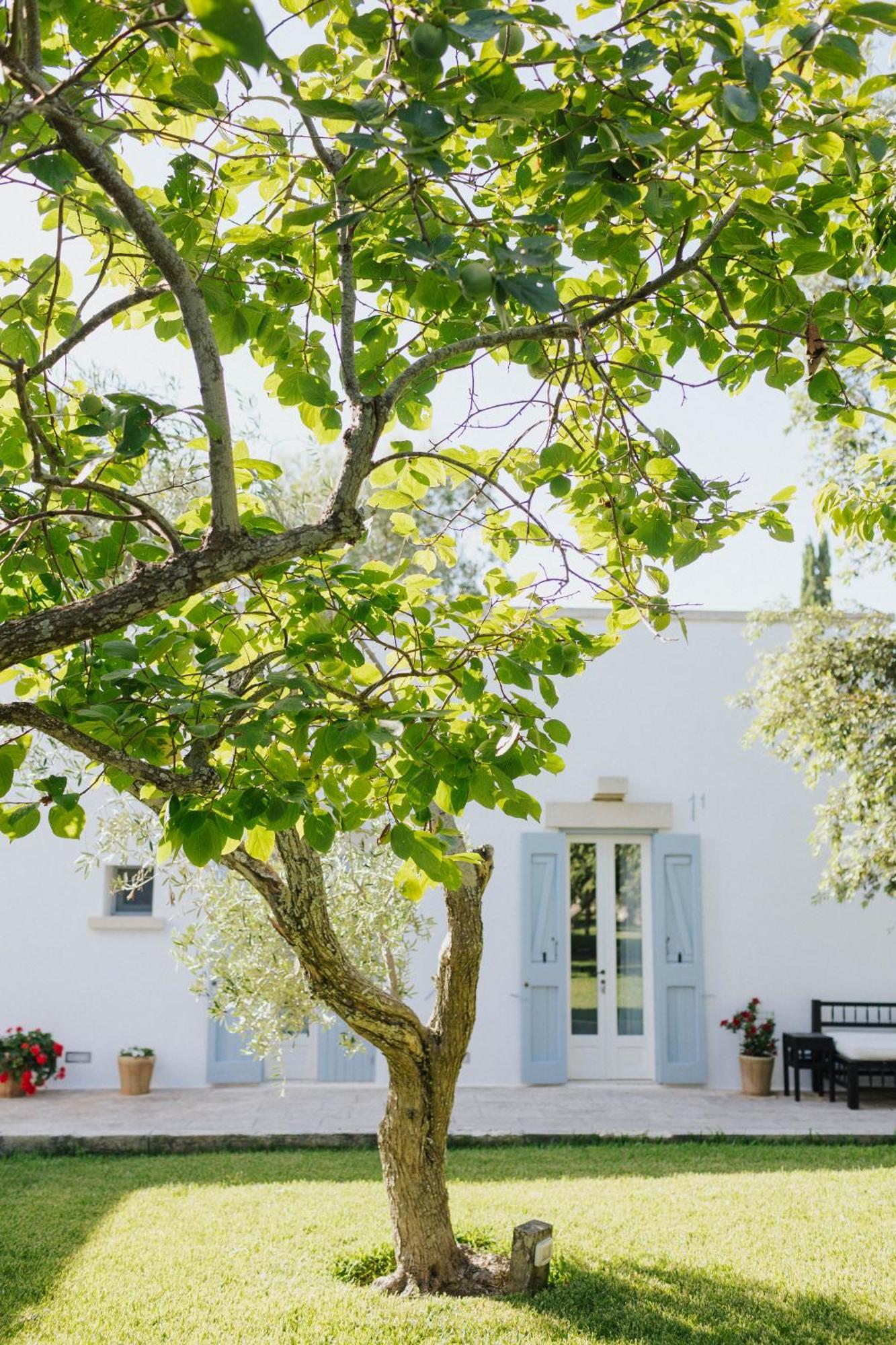 Masseria Montelauro Οτράντο Εξωτερικό φωτογραφία
