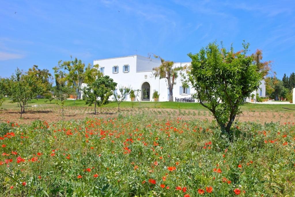 Masseria Montelauro Οτράντο Εξωτερικό φωτογραφία