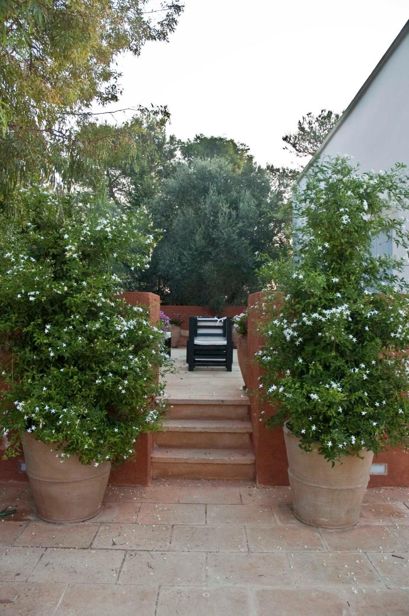 Masseria Montelauro Οτράντο Εξωτερικό φωτογραφία